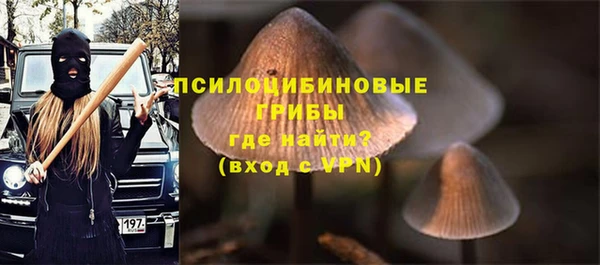 а пвп мука Мегион