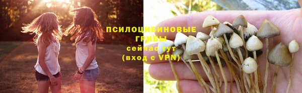 гидра Медногорск