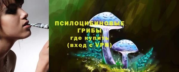 СК Медвежьегорск