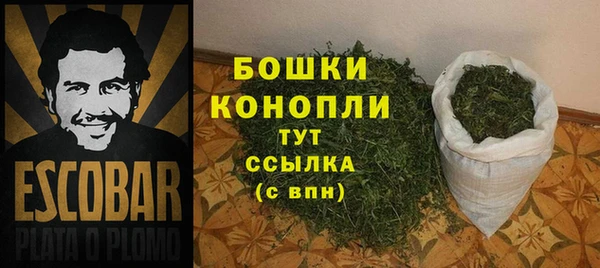 СК Медвежьегорск
