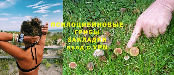 а пвп мука Мегион