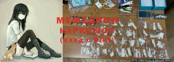 СК Медвежьегорск