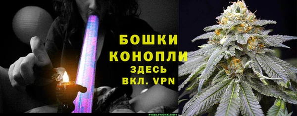 СК Медвежьегорск