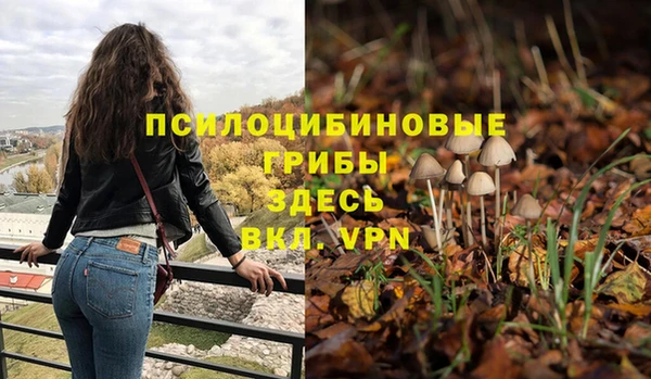 гидра Медногорск