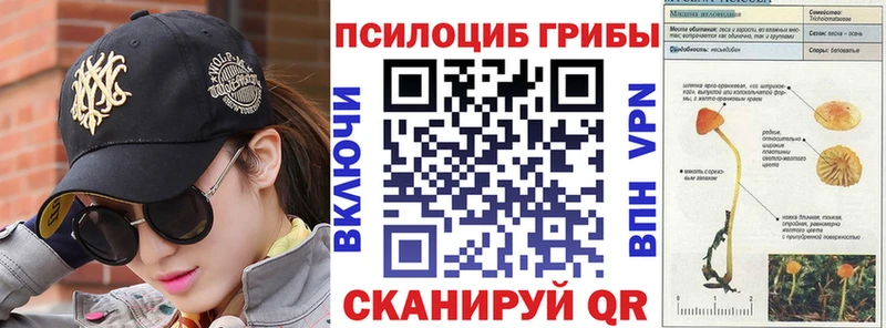 Псилоцибиновые грибы MAGIC MUSHROOMS  Купить  Георгиевск 