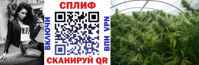 Конопля LSD WEED  Купить  Георгиевск 